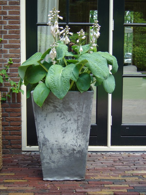 Potten & bakken